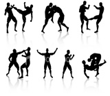 Artes Marciais em Pirassununga