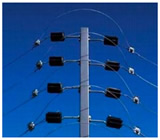 Cercas Elétricas em Pirassununga