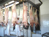 Frigoríficos em Pirassununga
